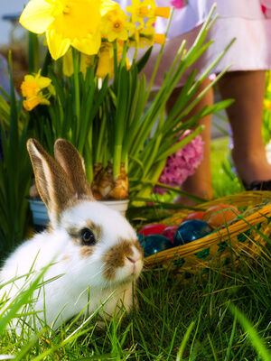 ostern-im-schmelmer-hof