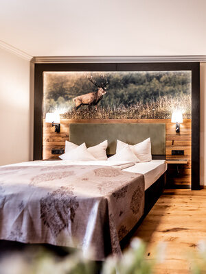 Doppelzimmer im Schmelmer Hof