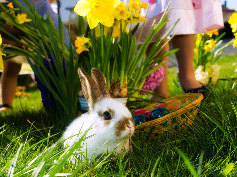 ostern-im-schmelmer-hof