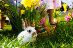 ostern-im-schmelmer-hof