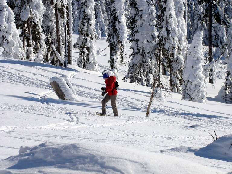Wanderung im Schnee